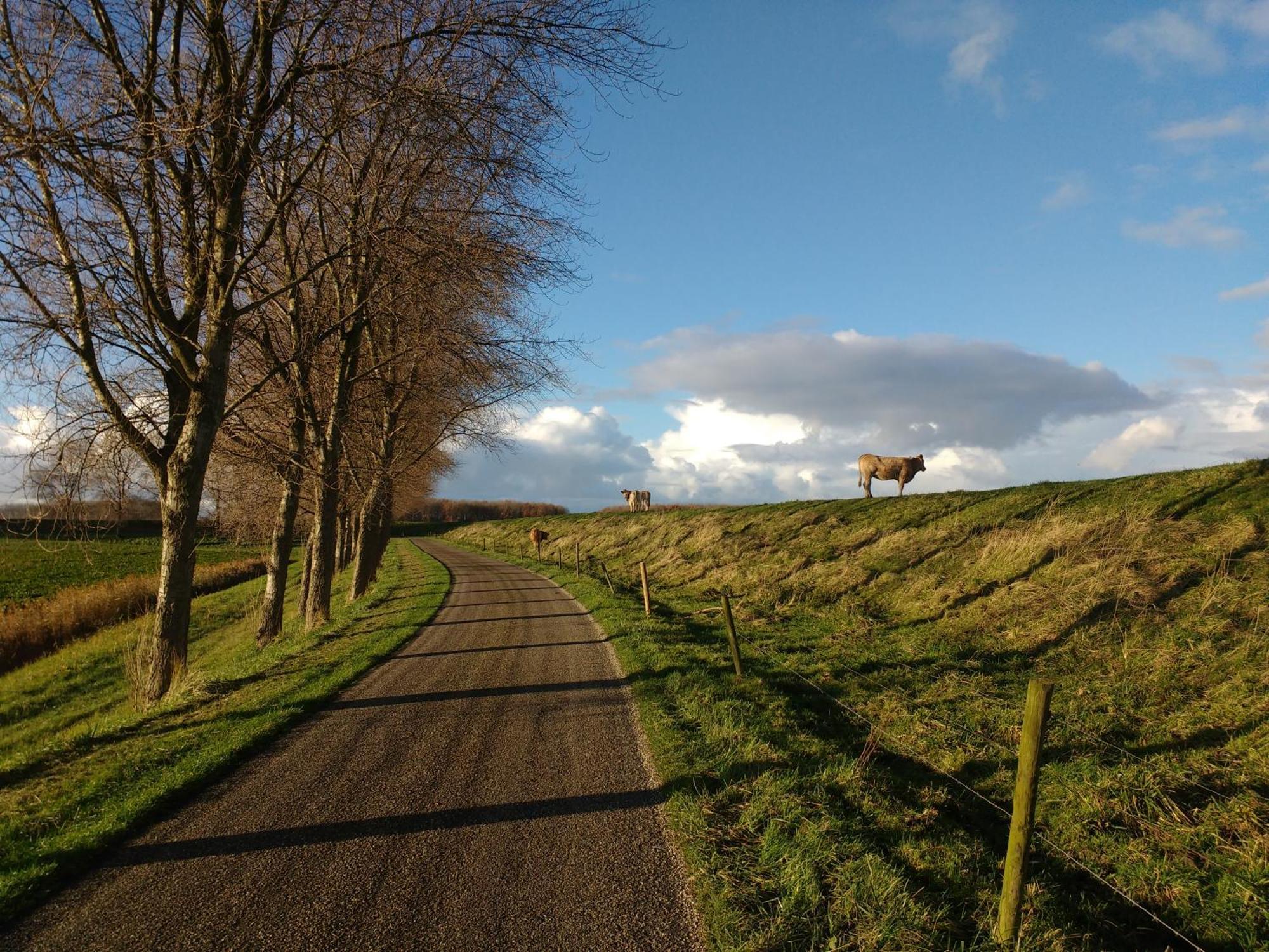 Studio Sturjalland Sirjansland Exterior photo